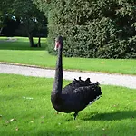 En Landgoed Matanze Bed & Breakfast