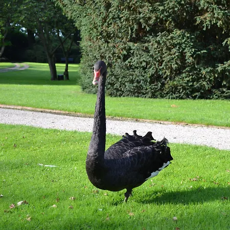 En Landgoed Matanze Bed & Breakfast