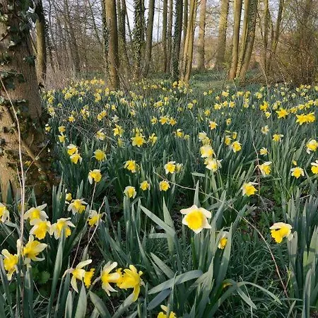 Bed & Breakfast En Landgoed Matanze 4*