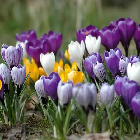 Bed & Breakfast En Landgoed Matanze