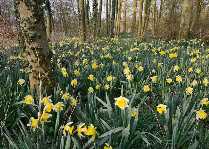 Bed & Breakfast En Landgoed Matanze 4*