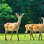 En Landgoed Matanze 4* Terwolde