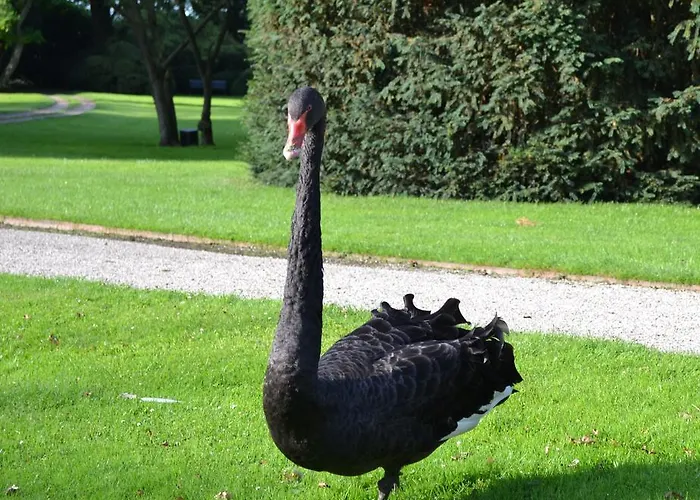 En Landgoed Matanze B&B