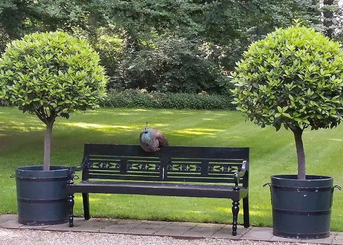 En Landgoed Matanze Terwolde