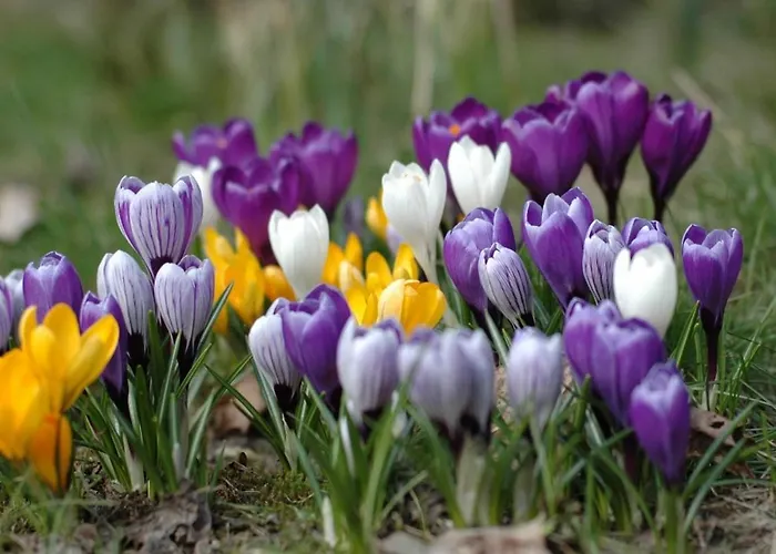 B&B En Landgoed Matanze