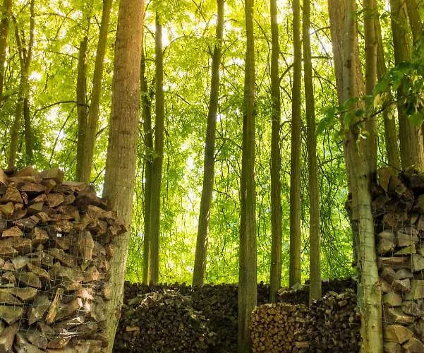 B&B En Landgoed Matanze Terwolde